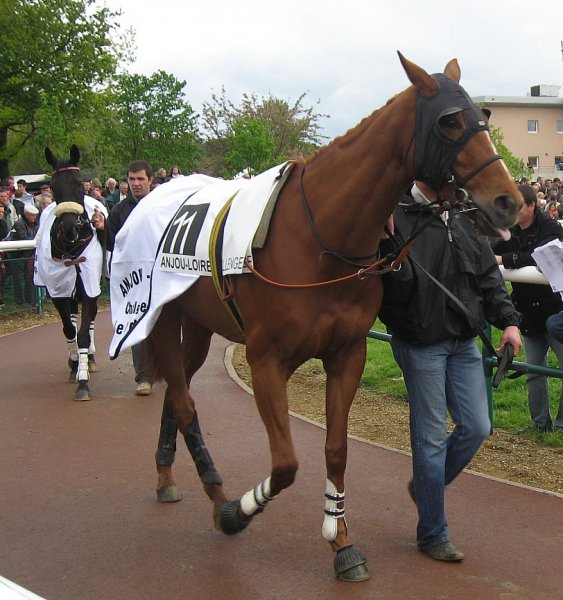 Klik for at se fuld strrelse billede