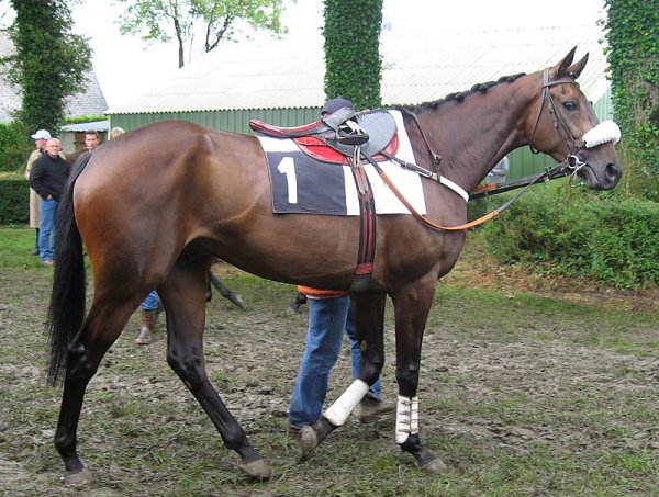 Klik for at se fuld strrelse billede