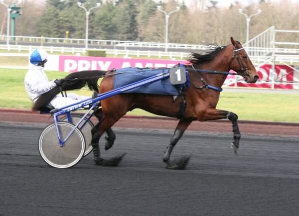 Klicken fr Bild in voller Gre