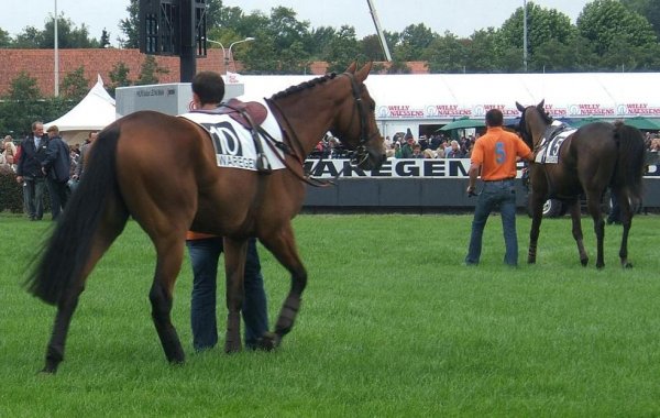 Klik for at se fuld strrelse billede