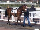 Filename : Lindfield Flyer....JPG
Filesize : 116KB
Dimensions : 768x576
Date added : Mar 16, 2011 Lindfield Flyer....JPG