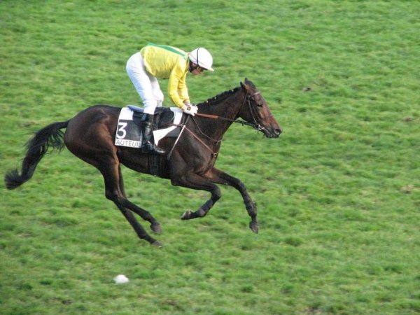 Klicken fr Bild in voller Gre