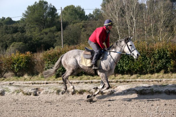 Klik for at se fuld strrelse billede